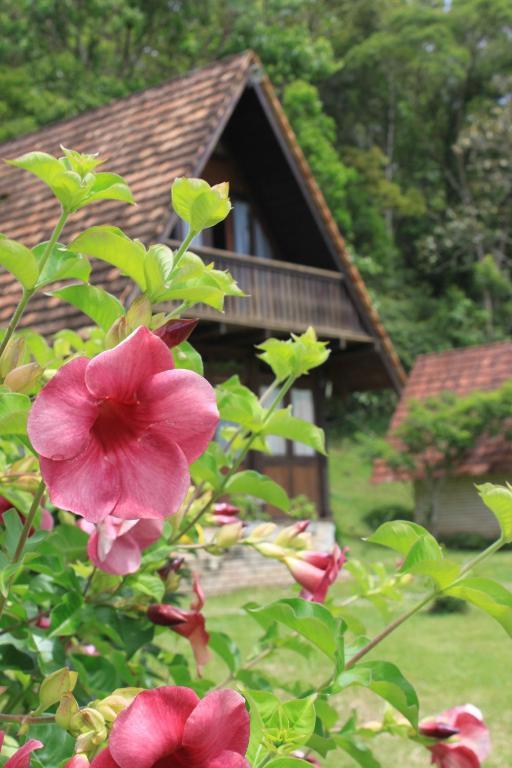 Pousada Rio Da Prata Blumenau Cameră foto